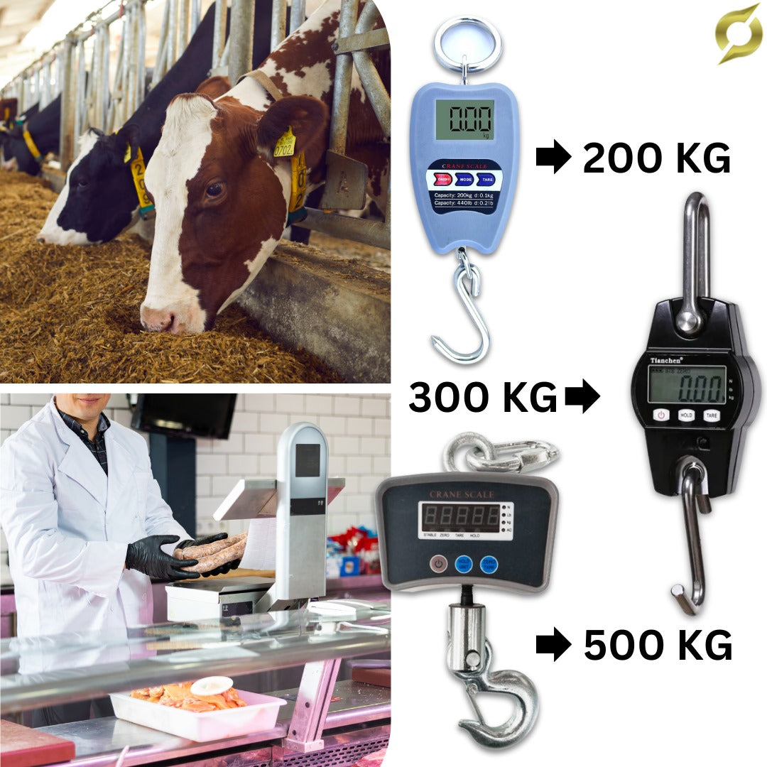 Digitálna váha 500KG/300KG/200KG